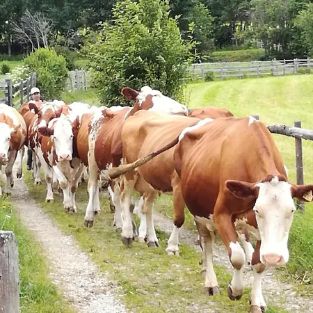 Apartmán Laerchenhof 301